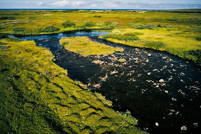 Север 2021 — фото 14